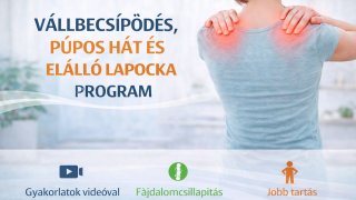 2.szint/8.hét Váll, Tartás, Lapocka Program